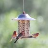 Perky-Pet 517282 Copper Panorama Bird Feeder 312C, 1 Tier