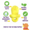 Chew King Premium Treat Dog Toy, Durable Natural Rubber Collection, Fetch and Tug Dog Toy, Dog Treat Toys for Boredum