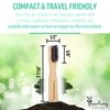 Traveling Panda Mini Travel Bamboo Toothbrush Kit with 2 Soft Bristle Toothbrushes and Mint Toothpaste Tablets, 2X 10 Tabs