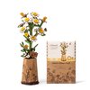 ROBOTIME 3D Puzzles Wooden Artifical Flower Chamomile DIY Model Building Kit to Build for Adults Bouquet Botanical Collection Craft Brain Teaser Puzzle Creative Gift Home Decor