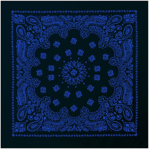 Rothco Trainmen Paisley Bandana - Standard - 22" X 22", Black/Blue