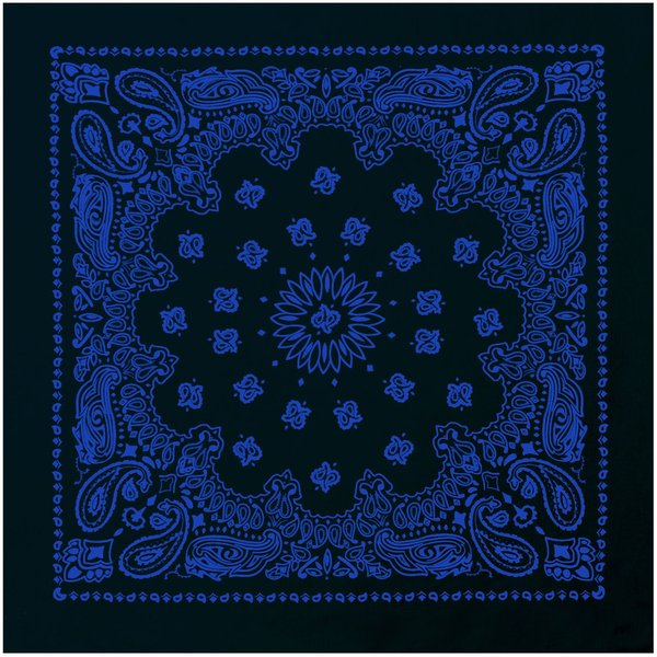 Rothco Trainmen Paisley Bandana - Standard - 22" X 22", Black/Blue
