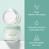 I'm from Vitamin Tree Water Gel, 75g, Korean moisturizer, Niacinamide, Panthenol, Vitamin C, hydrating, soothing