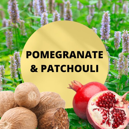 Black Canyon Pomegranate & Patchouli Scented Argan Oil Hair Shampoo and Conditioner Set, 16 Oz
