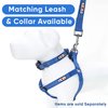 Pawtitas Dog Harness Medium Sized Dog Blue Dog Harness Step in from a Senior Dog to a Puppy Harness Adjustable Reflective Dog Harness S Reflective Dog Vest