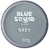 Blue Squid PRO Face Paint - Professional Water Based Single Cake Facepaint & Body Paints - SFX Makeup, Kids Adults Face Painting for Costume, Halloween, Cosplay - Classic Grey 30g / 1oz