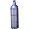 Fanci-Full Instant Hair Color Rinse by Roux, 41 True Steel ,Temporarily Evens Tones, Blends Away Gray, 15.2 Oz