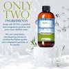 NutriNoche Liquid Magnesium Supplement - 30 PPM of Nano Sized Magnesium Particles Absorbed at a Cellular Level - Colloidal Minerals