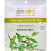 Aura Cacia Clearing Eucalyptus Aromatherapy Mineral Bath Salt, 2.5 Ounce Packet - 6 per case.6