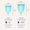 EcoBlossom Reusable Menstrual Cup Set - The Most Reliable Medical Grade Silicone Period Cups - Comfortably use for 12 Hours (2 Small Cups)