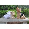 Dog Wedding Harness Dress Set (S)
