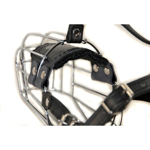 Dean and Tyler Wire Basket Muzzle, Size No. 8 - Golden Retriever