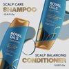 Head & Shoulders Royal Oils Shampoo and Conditioner Set, Includes Anti-Dandruff Scalp Care Shampoo (12.8 Fl Oz.) & Moisture Renewal Scalp Balancing Conditioner, Hair Treatment for Curly & Coily Hair