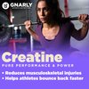 Gnarly Nutrition Creatine Powder - Creapure, Vegan Creatine Supplement, NSF Sport Certified, Optimized Recovery, Sports Nutrition, 5g Creatine Monohydrate, Unflavored (15.87oz)