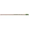 Ticonderoga Envirostik Wood-Cased Pencils, 2 HB Soft, Natural, 12 Count