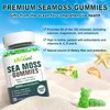 Sugar-Free Sea Moss Gummies 5000mg, Extra Strength Irish Moss Gel Supplement with Iodine, Chlorophyll, Unfiltered ACV, D3, Burdock Root, Bladderwrack for Immune, Digestive, Joint, Skin, Vegan 60 Chews