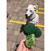 Broccoli Dog Toy, Dog Toy with Squeaker, Broccoli Toy for Dogs, Plush Dog Toy for Puppy, Interactive Dog Toy, Stimulating Dog Toy, Cute Dog Toy, Food Parody Dog Toy (Broccoli)