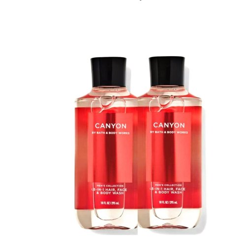 Bath and Body Works 2 Pack Canyon 2-in-1 Hair + Body Wash 10 Oz.