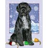 Portuguese Water Dog Christmas Cards : 10 Holiday Cards with Red Envelopes - ADORABLE!