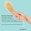 Exfoliating Body Scrubber: Dual-Use for Wet/Dry Exfoliation, Lymphatic Drainage & Cellulite Smoothing - Natural Boar Bristle Dry Brushing Body Brush, Ergonomic Handle, Easy to Clean by Rengöra