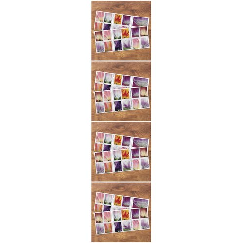 Tulip Blossom Forever First Class Postage Stamps, Valentine, Wedding, Celebration, Anniversary, Romance, Party (4 Sheets of 20 Count Booklet= 80 Stamps)