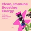 Pureboost Immune Clean Energy Drink Mix: Immunity Supplement with Elderberry, 1200 mg Vitamin C, Vitamins A + D, Zinc., 28 Vitamins, Minerals and Supernutrients (Elderberry Power, 30 Count)