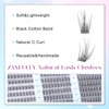 Lash Clusters Wispy Eyelash Clusters C Curl Individual Lashes zanlufly Natural 300Pcs Cluster Lashes Eyelash Extension 10 12 14MM DIY Lash Extension