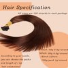 I Tip Human Hair Extensions,100 Strands/Pack Pre Bonded Keratin Stick In Hair Extensions #4 Medium Brown 1g/Strand 100G 18inch Human Hair Fusion I Tip Extensions