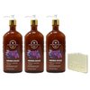 Bath & Body Works Aroma Oasis Hibiscus Mandarin Violet 3 Pack Body Lotion Value Pack with a Natural Oats Sample Soap