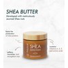 BEAUTY GARAGE Pure African Shea Retention Treatment Hair Mask 500ml…