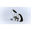 Schleich Horse Club Sofia's Beauties, Knabstrupper Stallion Beauty Horse with Brushable Hair - 8pc Styling Horse Figurine and Playset Accessories for Boys and Girls, for Kids Ages 4+