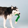 Fringe Studio Plush Dog Toy, Hisses & Kisses, Pet Shop Collection (314206)