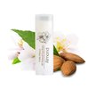 Natural Handmade Almond Lip Balm
