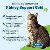 Pet Wellbeing Kidney Support Gold for Cats - Vet-Formulated - Supports Healthy Kidney Function in Cats - Natural Herbal Supplement 2 oz (59 ml)