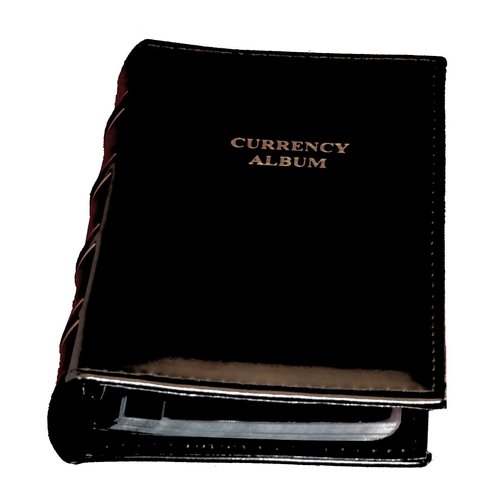 Lighthouse Individual Pocket Currency Album Refill Pages for 3-Ring Binder Pack of 10