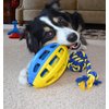 PetSport Flea Flicker Football TPR Dog Toy, 7.75 Inch, Fetch and Retrieve Puzzle Toy (Single)