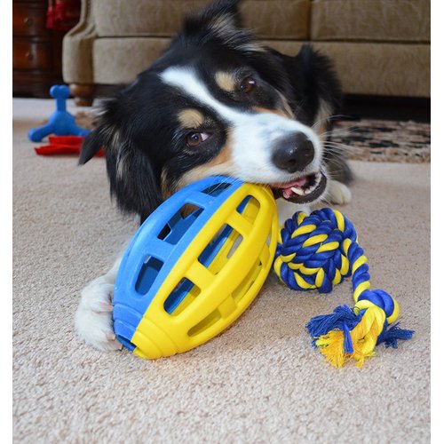 PetSport Flea Flicker Football TPR Dog Toy, 7.75 Inch, Fetch and Retrieve Puzzle Toy (Single)