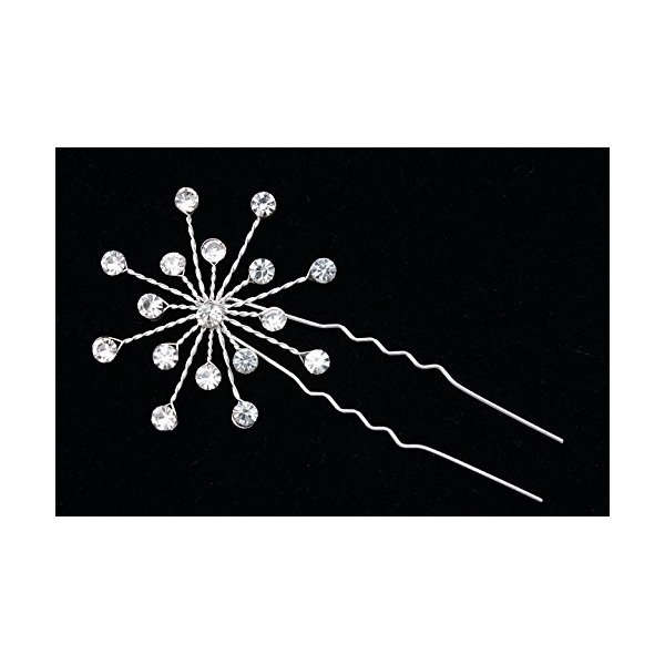 Set of 2 Handmade Crystal Flower Star Burst Hair Pins H054