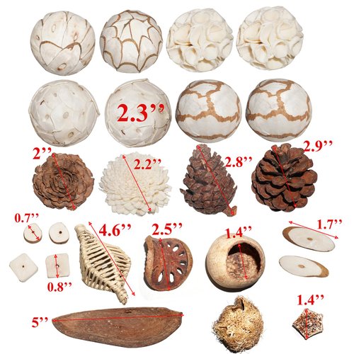 AEspares 24 Pc. Bird Toys Interactive and Durable Play Toys for Pet Birds Parrots Cockatiels Conures Caiques Parakeet Budgies Other Parrots Breeds and Birds Breeds