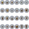 NAIL ANGEL 500pcs/bag Nail Art Randomly Mixed Metal Stud Sea Series Shell Starfish shape Deco 10007