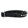 Dogs My Love Rhinestone Genuine Leather Dog Collar (Black, 9.5"-11" Neck)