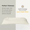 Choc chick Toddler Pillow,20X12inches Machine Washable 100% Cotton Pillowcase Soft Hypoallergenic Kids Pillows,Child Cute Animal Perfect Toddler Pillows for Sleeping 2 Years Old (Rabbit)