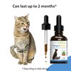 Pet Wellbeing Young at Heart for Cats - Vet-Formulated - Supports Cardiovascular System | Heart & Circulatory Health - Natural Herbal Supplement 2 oz (59 ml)