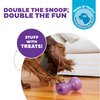 Outward Hound by Planet Dog Double Snoop Interactive Treat Stuffer Durable Dog Toy, Dog Treat Toy, Purple