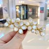 Opal Flower Rhinestone Hair Clip French Crystal Vintage Hair Barrettes Elegant Pearl Hair Accessories,by JINBUYAO (E)