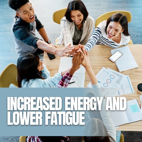 Biofunctionals Black Ginger Powder (3.5 Oz) Thai Black Ginger Powder Kaempferia Parvifora. Promotes Energy & Stamina