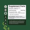 Potent Olive Leaf Extract Capsules - High Strength Antioxidant Supplement with Pure Olive Leaf with 20% Oleuropein - Herbal Heart Health Supplement - Vegan Non-GMO & Gluten Free (2 Month Supply)