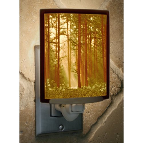 The Porcelain Garden Colored Woodland Sunbeams Porcelain Lithophane Night Light, Decorative Wall Plug in Nursery, Bedroom Kitchen, Bath, Hallway Nature Forest Themed Accent Light