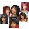 Spotlight Short Kinky Curly Wigs 10 inch Bob Loose Wave Human Hair Wigs for Women Brazilian Virgin Human Hair Wigs with Bangs 180% Density Natural Looking (Natural Black, 1B)