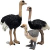 Gemini&Genius Ostrich Animal Action Figure Toys, Ostrich Animal Figurines Jungle Animal Playset Gift, Educational, Cake Toppers, Party Supplies, Animal Toy Set for Kids Ages 3+